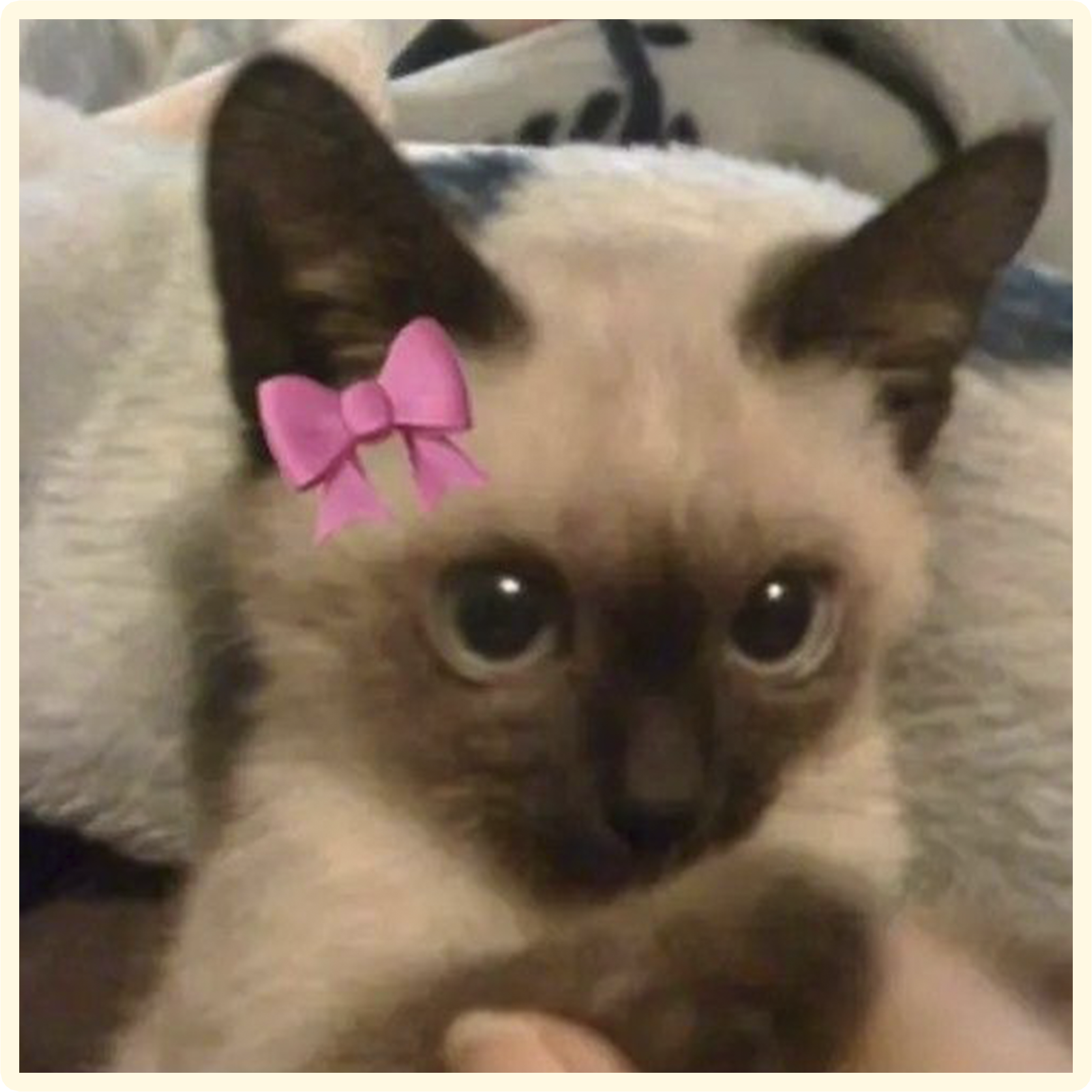 Sticker 33